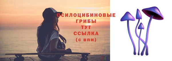 бошки Абаза