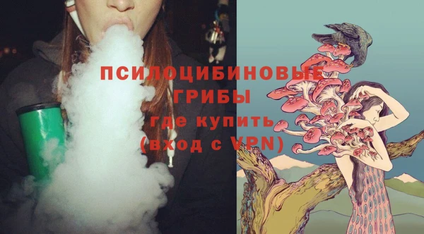 круглые Алзамай