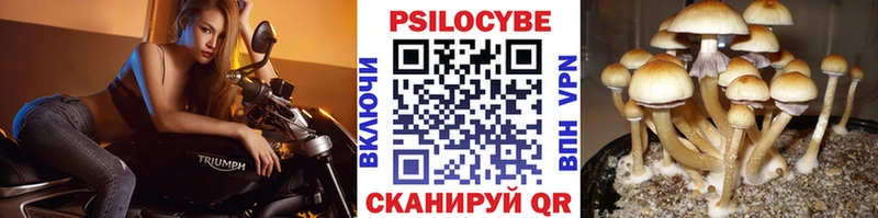 mega как зайти Аксай нарко площадка Telegram Галлюциногенные грибы GOLDEN TEACHER